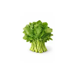 SAAG