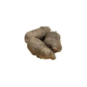 Water Yam