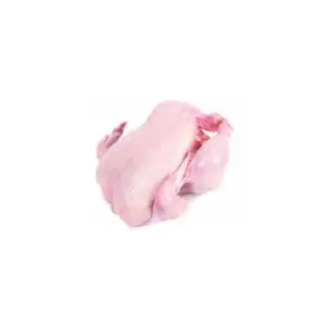 Whole Hard Chicken Boiler (Uncut)