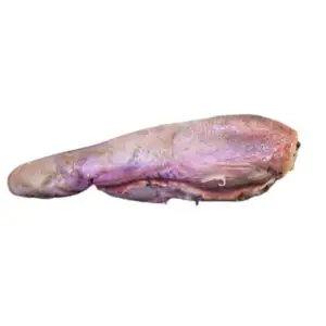 Beef Tongue per kg