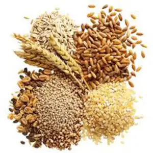 Grains